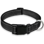 glow-go english bulldog collar