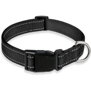 glow-go english bulldog collar