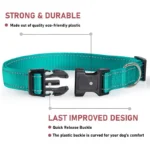 glow-go english bulldog collar