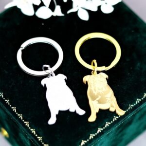 stainless steel bulldog keychain