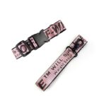 woof english bulldog collar