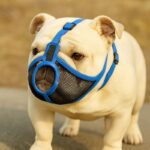 breathable english bulldog muzzle