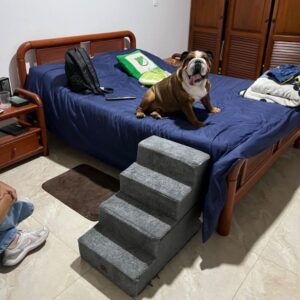 giant bulldog tennis ball