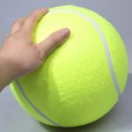 giant bulldog tennis ball