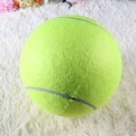 giant bulldog tennis ball