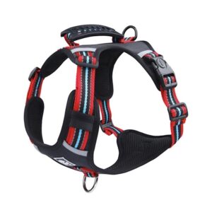no-pull english bulldog harness