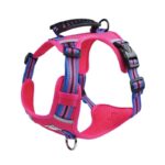 no-pull english bulldog harness