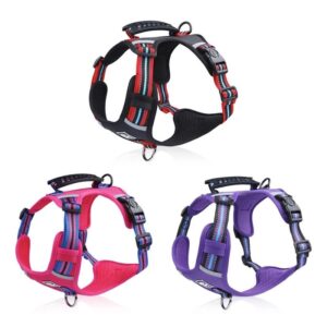 no-pull english bulldog harness