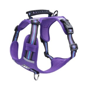 no-pull english bulldog harness
