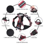 no-pull english bulldog harness