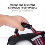 no-pull english bulldog harness