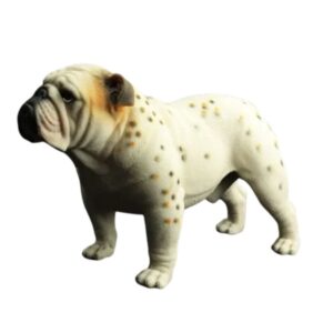 stands english bulldog statues
