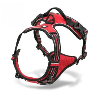 breathable padded english bulldog harness