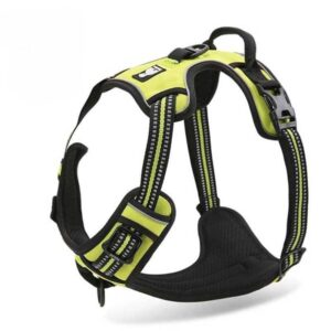 breathable padded english bulldog harness