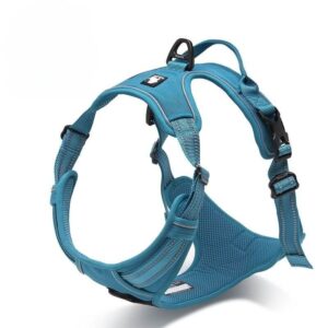 breathable padded english bulldog harness