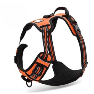 breathable padded english bulldog harness