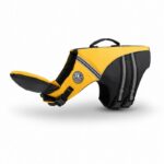 chinup english bulldog swimming vest