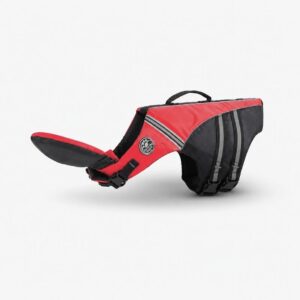 chinup english bulldog swimming vest