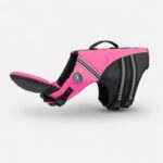 chinup english bulldog swimming vest