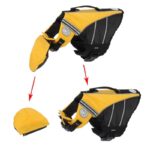 chinup english bulldog swimming vest