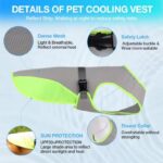 english bulldog heatstroke vest