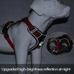 waterproof english bulldog harness