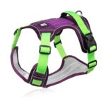 waterproof english bulldog harness