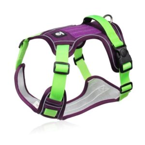 waterproof english bulldog harness