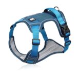 waterproof english bulldog harness