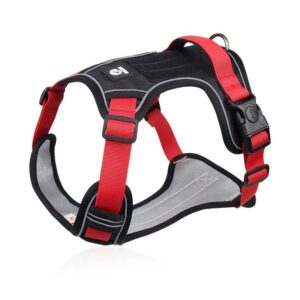 waterproof english bulldog harness