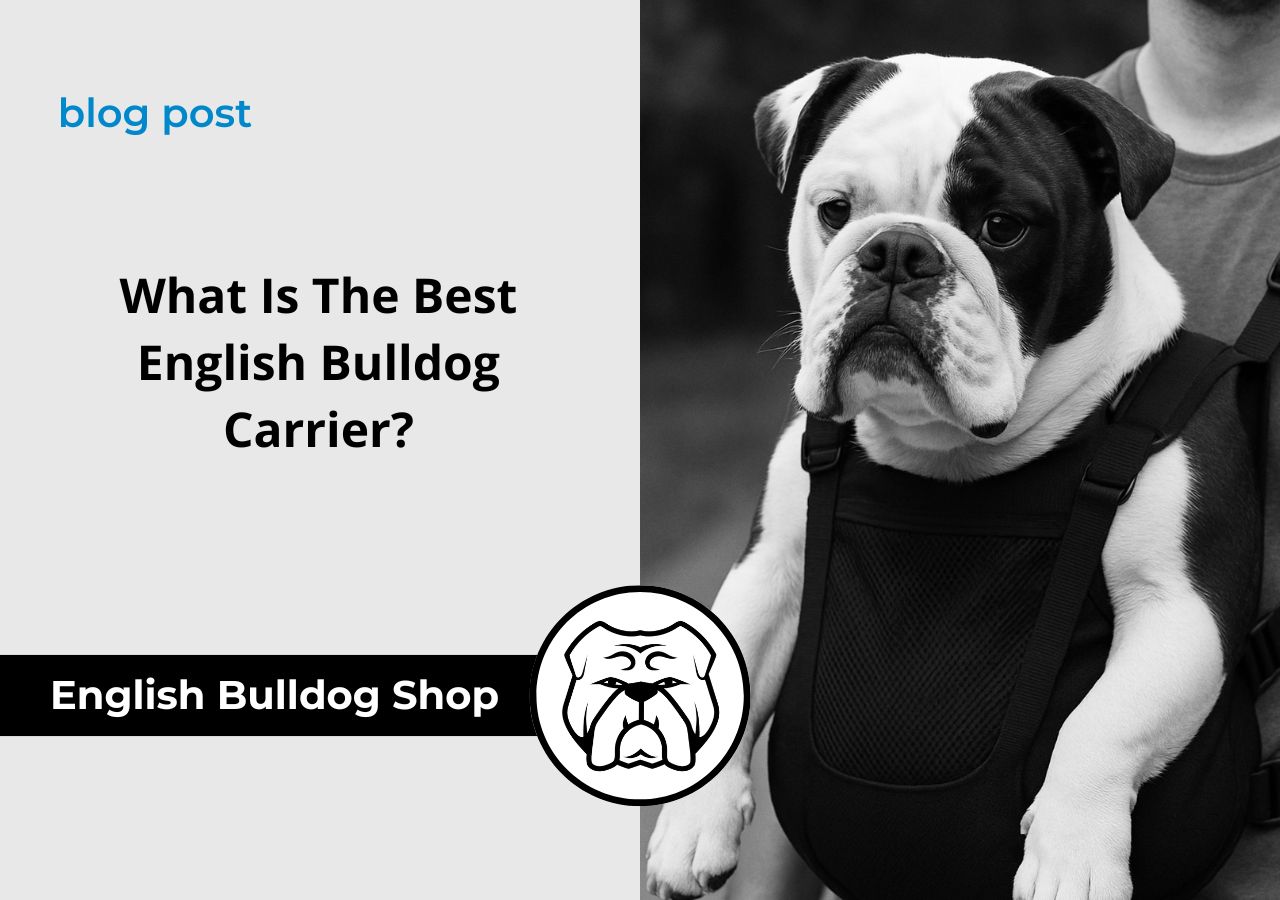 English Bulldog shop english bulldog carrier