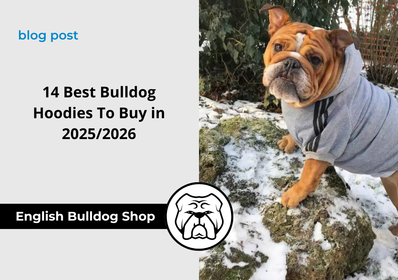 English Bulldog hoodies english bulldog shop