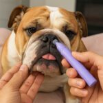 english bulldog paw roller