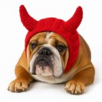 bulldog devil snood hat