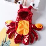 english bulldog crab costume