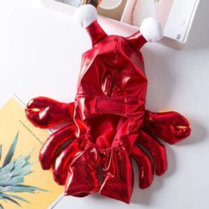 english bulldog crab costume