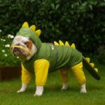rainasaur english bulldog raincoat