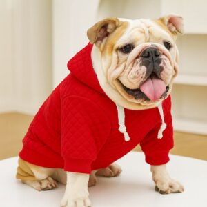 snugpaw english bulldog hoodie