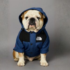 sporty english bulldog raincoat