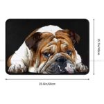 bulldomat english bulldog doormat
