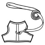 Harness & Collars