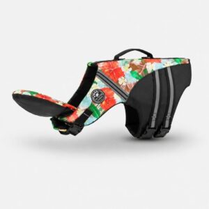 chinup english bulldog life vest limited edition