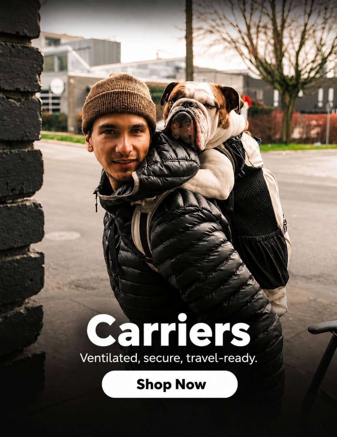english-bulldog-shop-banner-carriers-1 banner