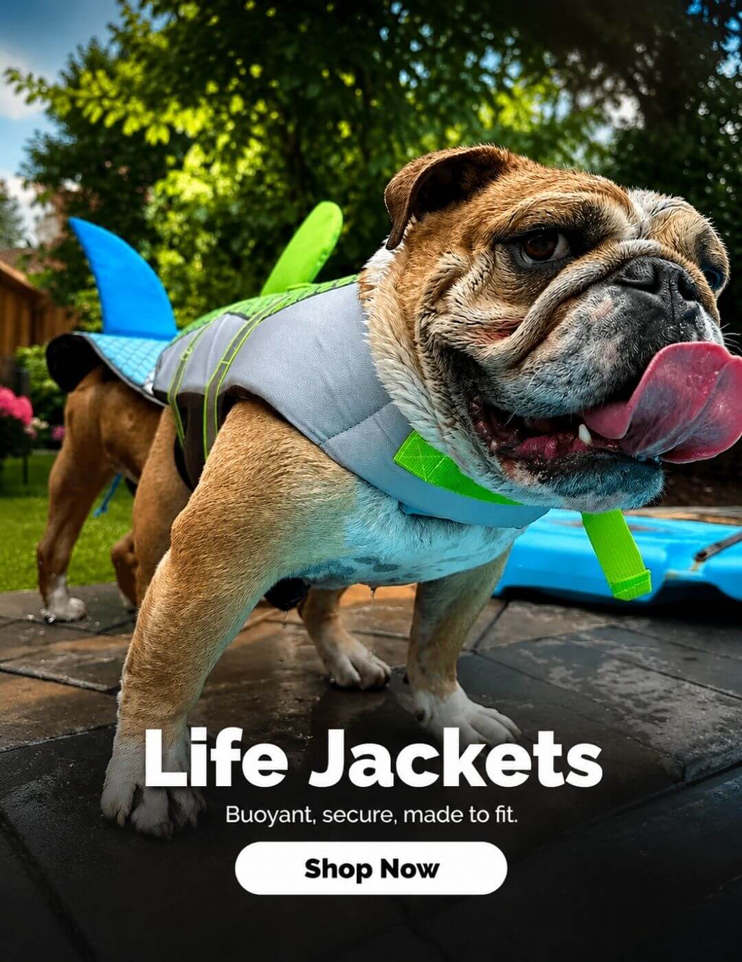 english-bulldog-shop-banner-life-jacket-1 banner