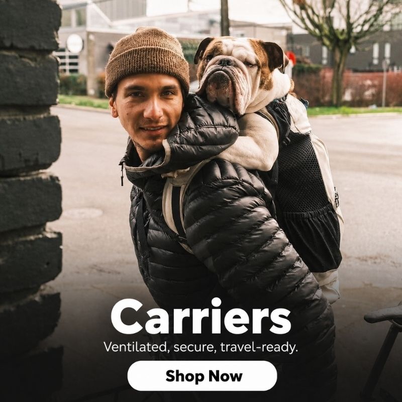 english-bulldog-shop-carriers-banner-novi carriers