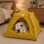 cozy english bulldog tent house
