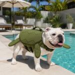 English Bulldog Turtle Life Jacket
