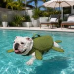 English Bulldog Turtle Life Jacket - Image 2